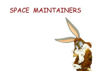 SPACE  MAINTAINERS 