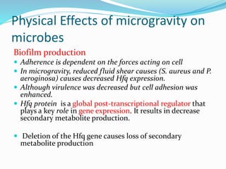 Space microbiology | PPTX