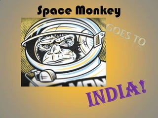 Space Monkey
 