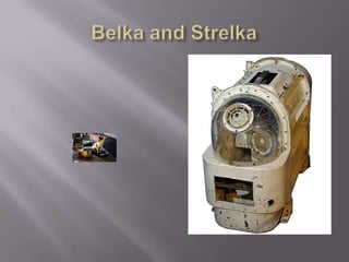 Belka and Strelka