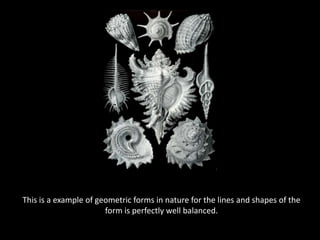 This is a example of geometric forms in nature for the lines and shapes of the form is perfectly well balanced.