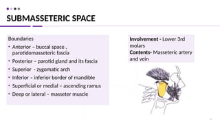 Submasseter Space Comprehensive Overview of Head and Neck Fascial Spaces and Infections ...