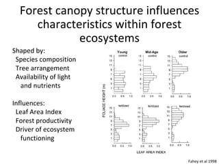 Forest canopy structure influences
characteristics within forest
ecosystems
Shaped by:
Species composition
Tree arrangemen...