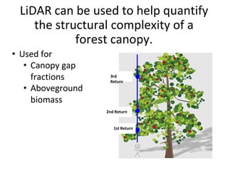 LiDAR can be used to help quantify
the structural complexity of a
forest canopy.
• Used for
• Canopy gap
fractions
• Above...