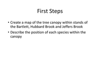 First Steps
• Create a map of the tree canopy within stands of
the Bartlett, Hubbard Brook and Jeffers Brook
• Describe th...