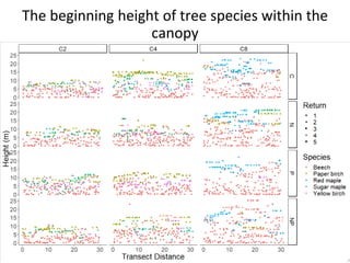 The beginning height of tree species within the
canopy
 