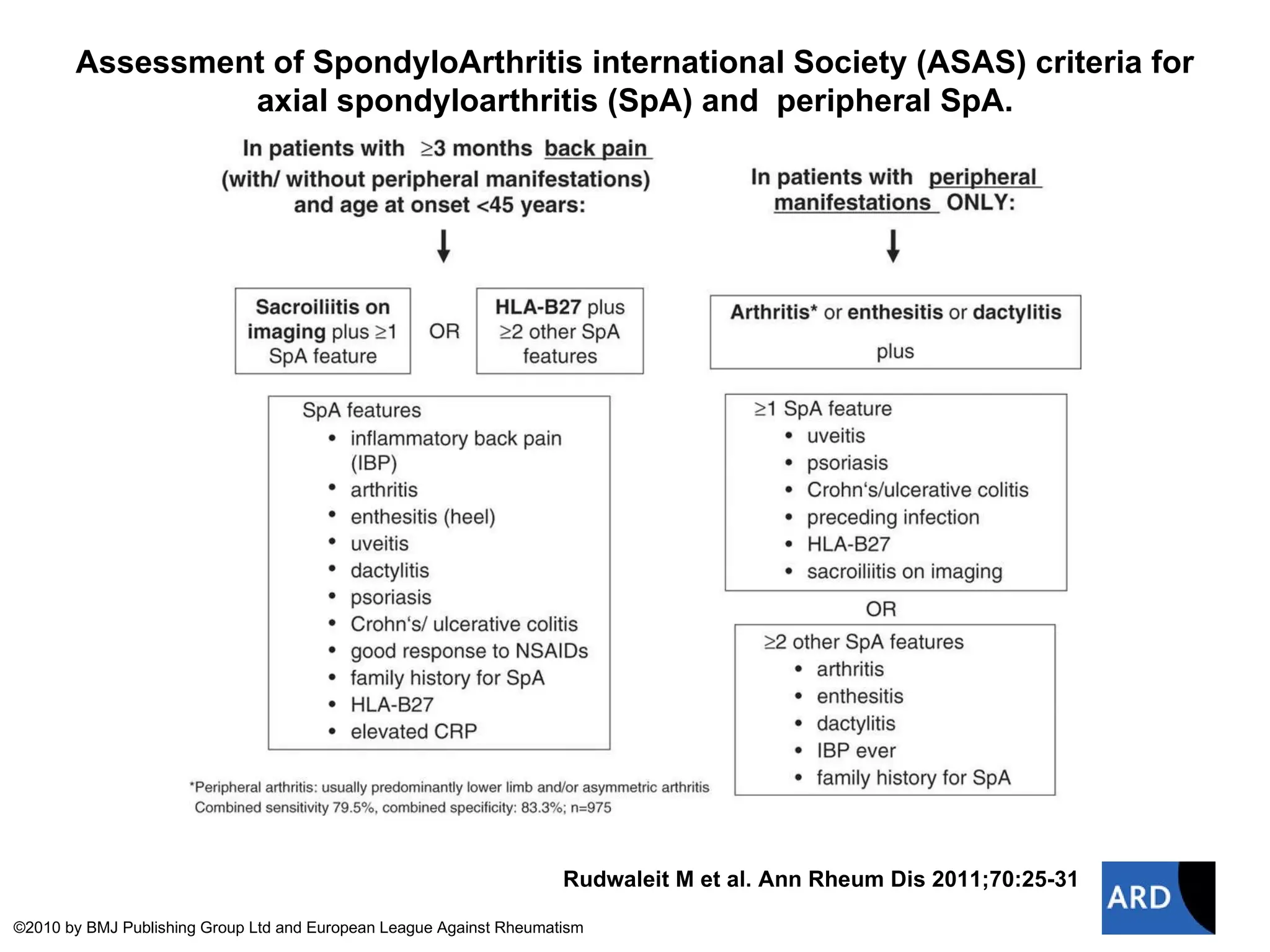Spondyloarthritis Diagnosis Criteria PPT Physical Therapy Wellness