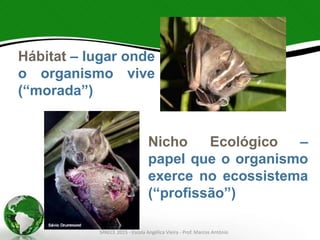 Hábitat – lugar onde
o organismo vive
(“morada”)
Nicho Ecológico –
papel que o organismo
exerce no ecossistema
(“profissão”)
SPAECE 2015 - Escola Angélica Vieira - Prof. Marcos Antônio
 