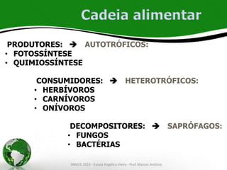 PRODUTORES:  AUTOTRÓFICOS:
• FOTOSSÍNTESE
• QUIMIOSSÍNTESE
CONSUMIDORES:  HETEROTRÓFICOS:
• HERBÍVOROS
• CARNÍVOROS
• ONÍVOROS
DECOMPOSITORES:  SAPRÓFAGOS:
• FUNGOS
• BACTÉRIAS
Cadeia alimentar
SPAECE 2015 - Escola Angélica Vieira - Prof. Marcos Antônio
 
