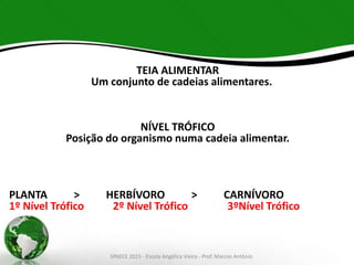 TEIA ALIMENTAR
Um conjunto de cadeias alimentares.
NÍVEL TRÓFICO
Posição do organismo numa cadeia alimentar.
PLANTA > HERBÍVORO > CARNÍVORO
1º Nível Trófico 2º Nível Trófico 3ºNível Trófico
SPAECE 2015 - Escola Angélica Vieira - Prof. Marcos Antônio
 