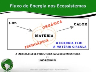 Fluxo de Energia nos Ecossistemas
A ENERGIA FLUI DE PRODUTORES PARA DECOMPOSITORES

UNIDIRECIONAL
SPAECE 2015 - Escola Angélica Vieira - Prof. Marcos Antônio
 