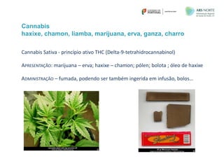 Cannabis
haxixe, chamon, liamba, marijuana, erva, ganza, charro
Cannabis Sativa - princípio ativo THC (Delta-9-tetrahidrocannabinol)
APRESENTAÇÃO: marijuana – erva; haxixe – chamon; pólen; bolota ; óleo de haxixe
ADMINISTRAÇÃO – fumada, podendo ser também ingerida em infusão, bolos…
 