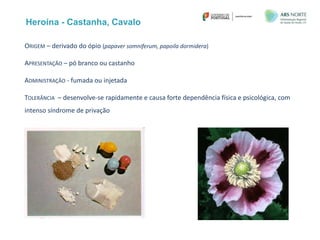 Heroína - Castanha, Cavalo
ORIGEM – derivado do ópio (papaver somniferum, papoila dormidera)
APRESENTAÇÃO – pó branco ou castanho
ADMINISTRAÇÃO - fumada ou injetada
TOLERÂNCIA – desenvolve-se rapidamente e causa forte dependência física e psicológica, com
intenso síndrome de privação
 