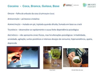 Cocaína - Coca, Branca, Gulosa, Base
ORIGEM – folha do arbusto da coca (Erythroxylon Coca)
APRESENTAÇÃO – pó branco cristalino
ADMINISTRAÇÃO – inalada em pó, injetada quando diluída, fumada em base ou crack
TOLERÂNCIA – desenvolve-se rapidamente e causa forte dependência psicológica
ABSTINÊNCIA – não apresenta sinais físicos, mas há alterações psicológicas: irritabilidade,
ansiedade, agitação, surtos psicóticos e intensos desejos de consumo, hipersonolência, apatia,
depressão
 