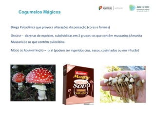 Cogumelos Mágicos
Droga Psicadélica que provoca alterações da perceção (cores e formas)
ORIGEM – dezenas de espécies, subdivididas em 2 grupos: os que contêm muscarina (Amanita
Muscaria) e os que contêm psilocibina
MODO DE ADMINISTRAÇÃO – oral (podem ser ingeridos crus, secos, cozinhados ou em infusão)
 