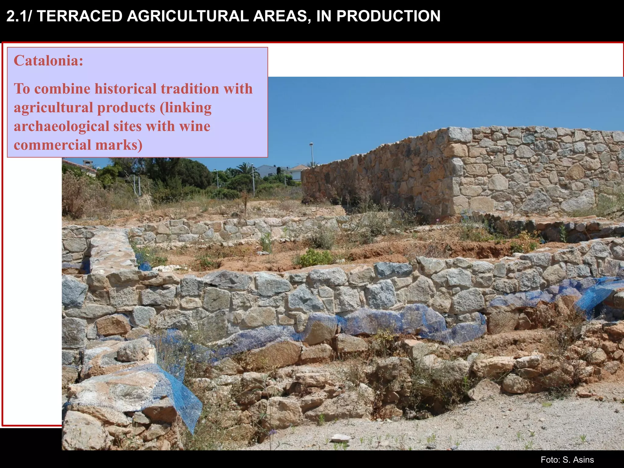 2.1/ TERRACED AGRICULTURAL AREAS, IN PRODUCTION
Catalonia:
To combine historical tradition with
agricultural products (linking
archaeological sites with wine
commercial marks)
Foto: S. Asins
 