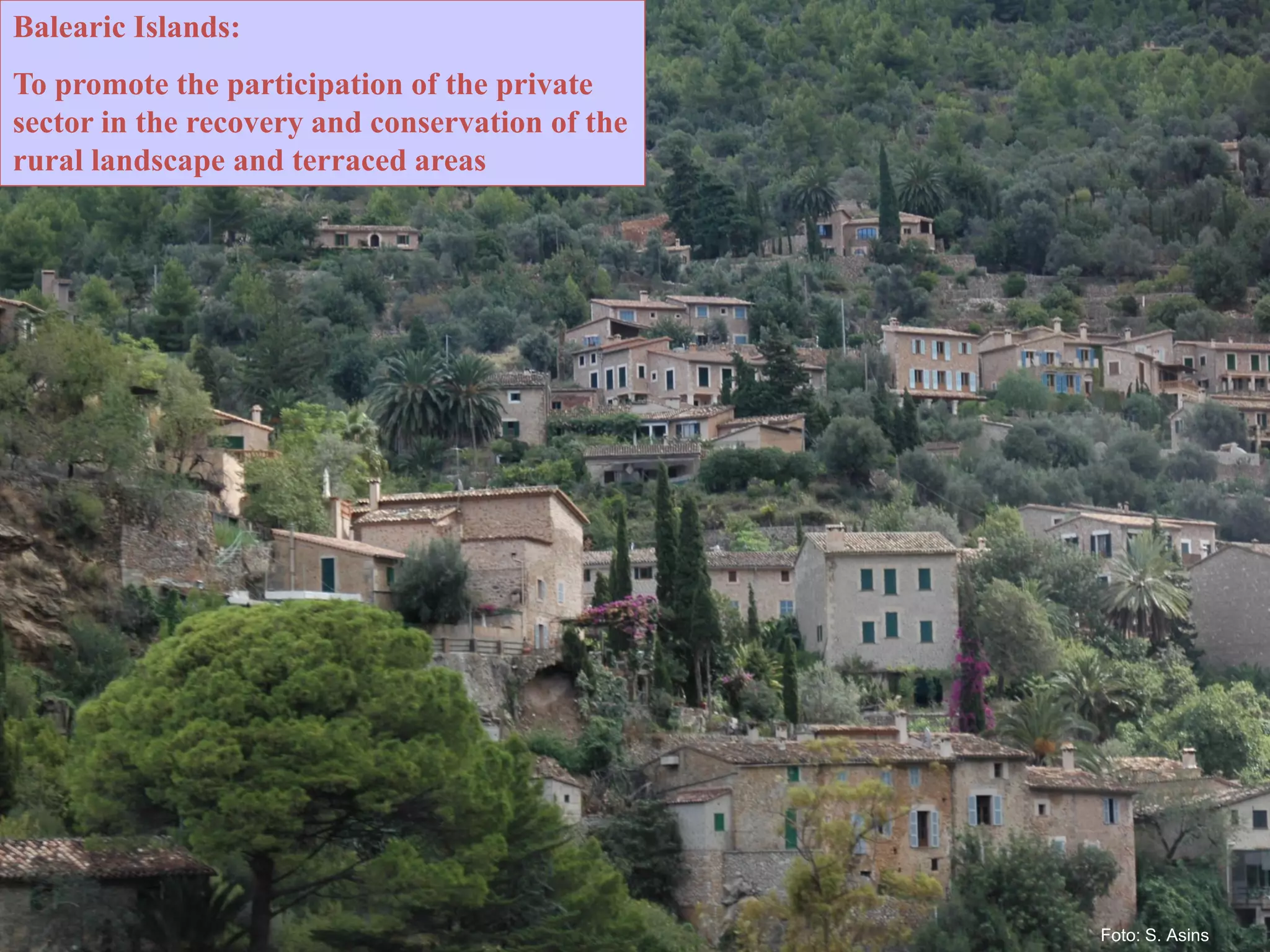 Balearic Islands:
To promote the participation of the private
sector in the recovery and conservation of the
rural landscape and terraced areas
Foto: S. Asins
 