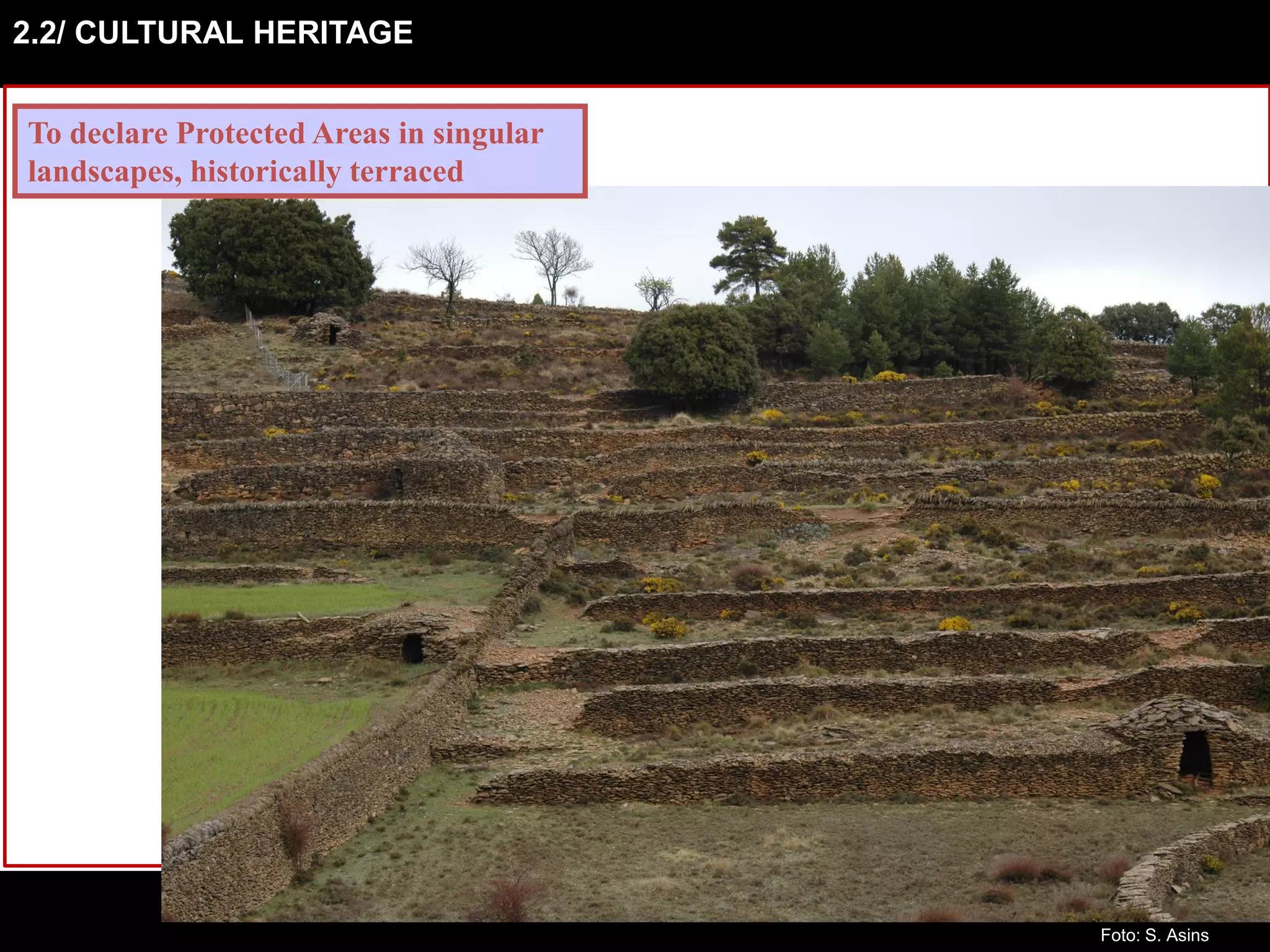 2.2/ CULTURAL HERITAGE
To declare Protected Areas in singular
landscapes, historically terraced
Foto: S. Asins
 