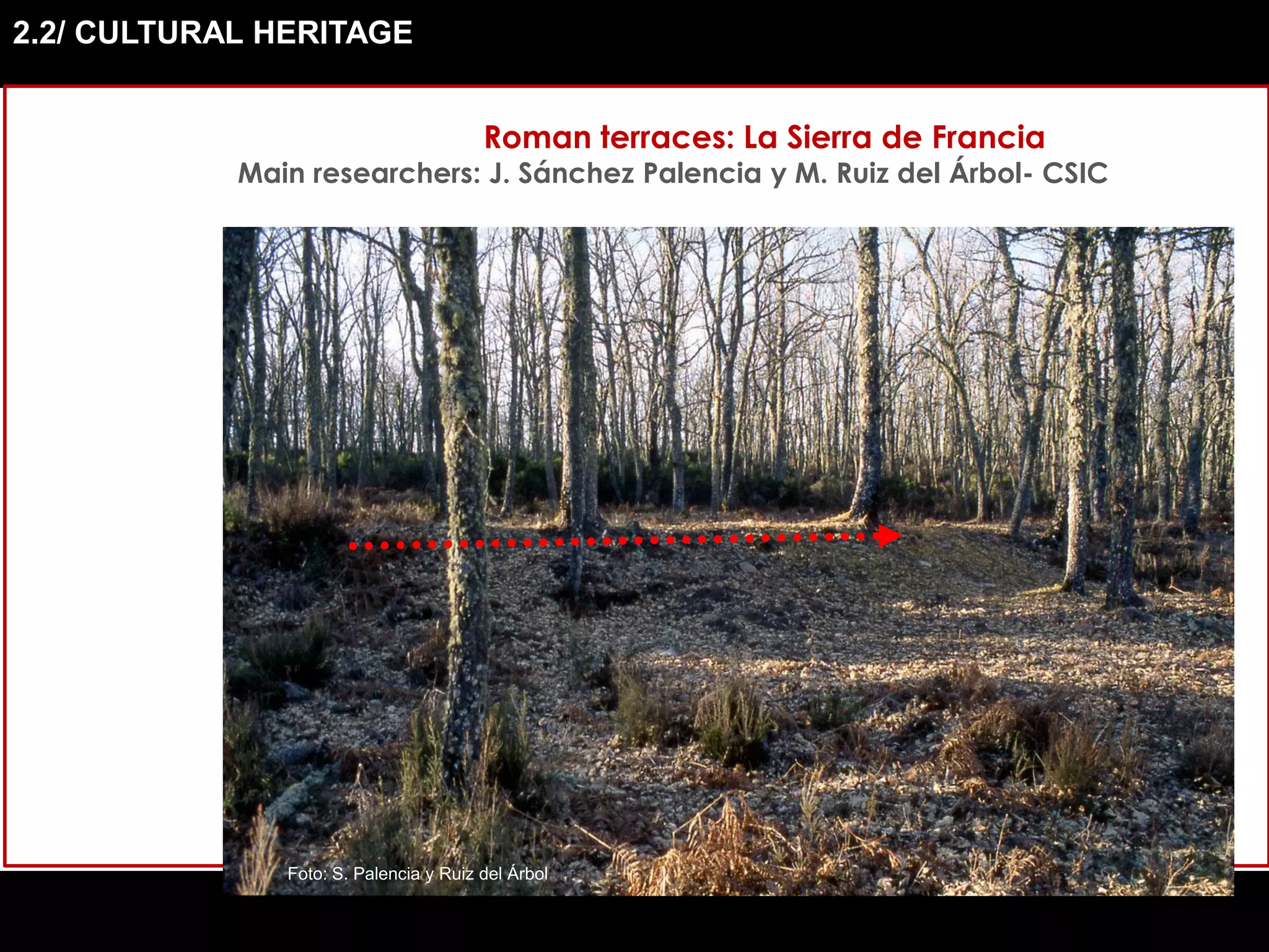 2.2/ CULTURAL HERITAGE
Roman terraces: La Sierra de Francia
Main researchers: J. Sánchez Palencia y M. Ruiz del Árbol- CSIC
Foto: S. Palencia y Ruiz del Árbol
 