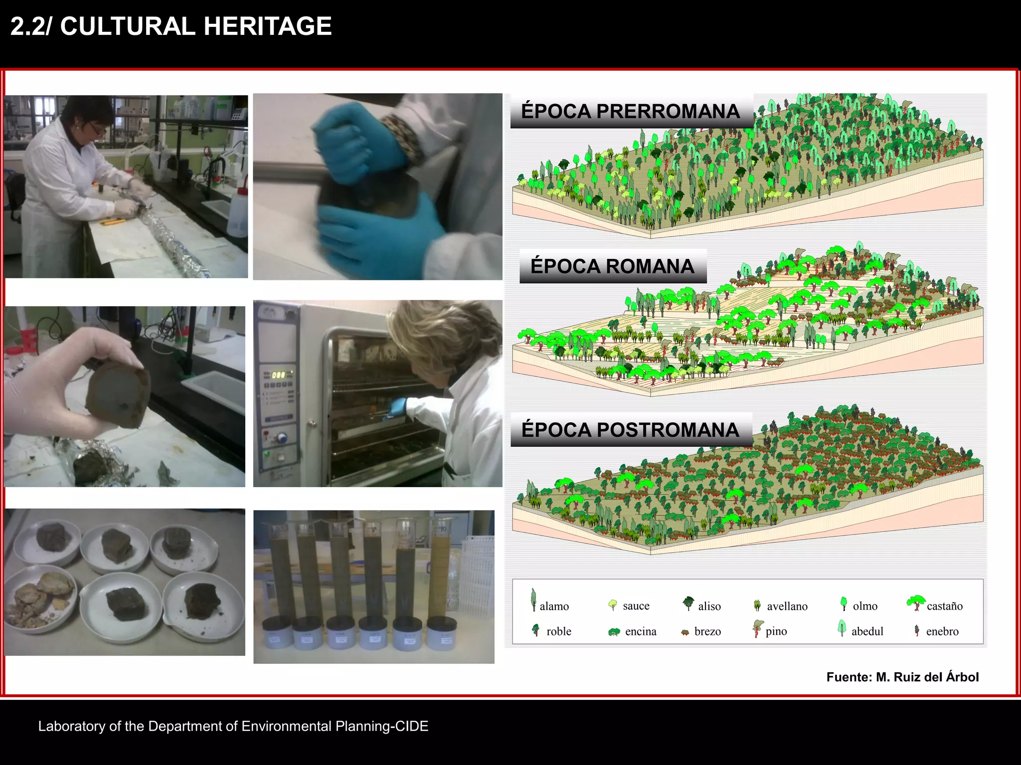 Foto: J.M. Ruizabedul
alamo
roble
castaño
encina pino
olmo
enebro
sauce avellano
brezo
aliso
ÉPOCA PRERROMANA
ÉPOCA ROMANA
ÉPOCA POSTROMANA
ÉPOCA PRERROMANA
ÉPOCA ROMANA
ÉPOCA POSTROMANA
Fuente: M. Ruiz del Árbol
Foto: Palencia y Ruíz del Árbol
2.2/ CULTURAL HERITAGE
Laboratory of the Department of Environmental Planning-CIDE
 