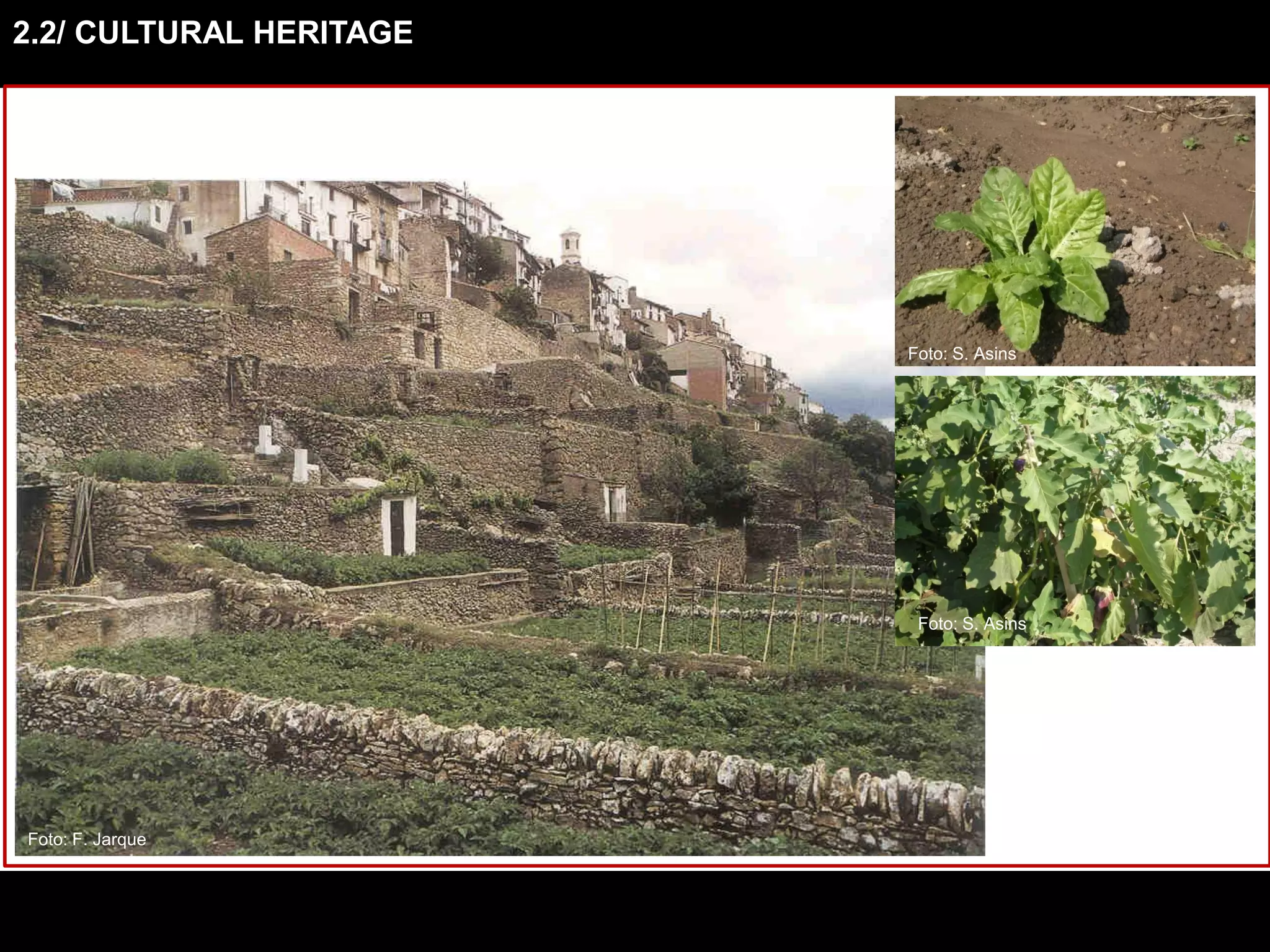 2.2/ CULTURAL HERITAGE
Foto: F. Jarque
Foto: S. Asins
Foto: S. Asins
 