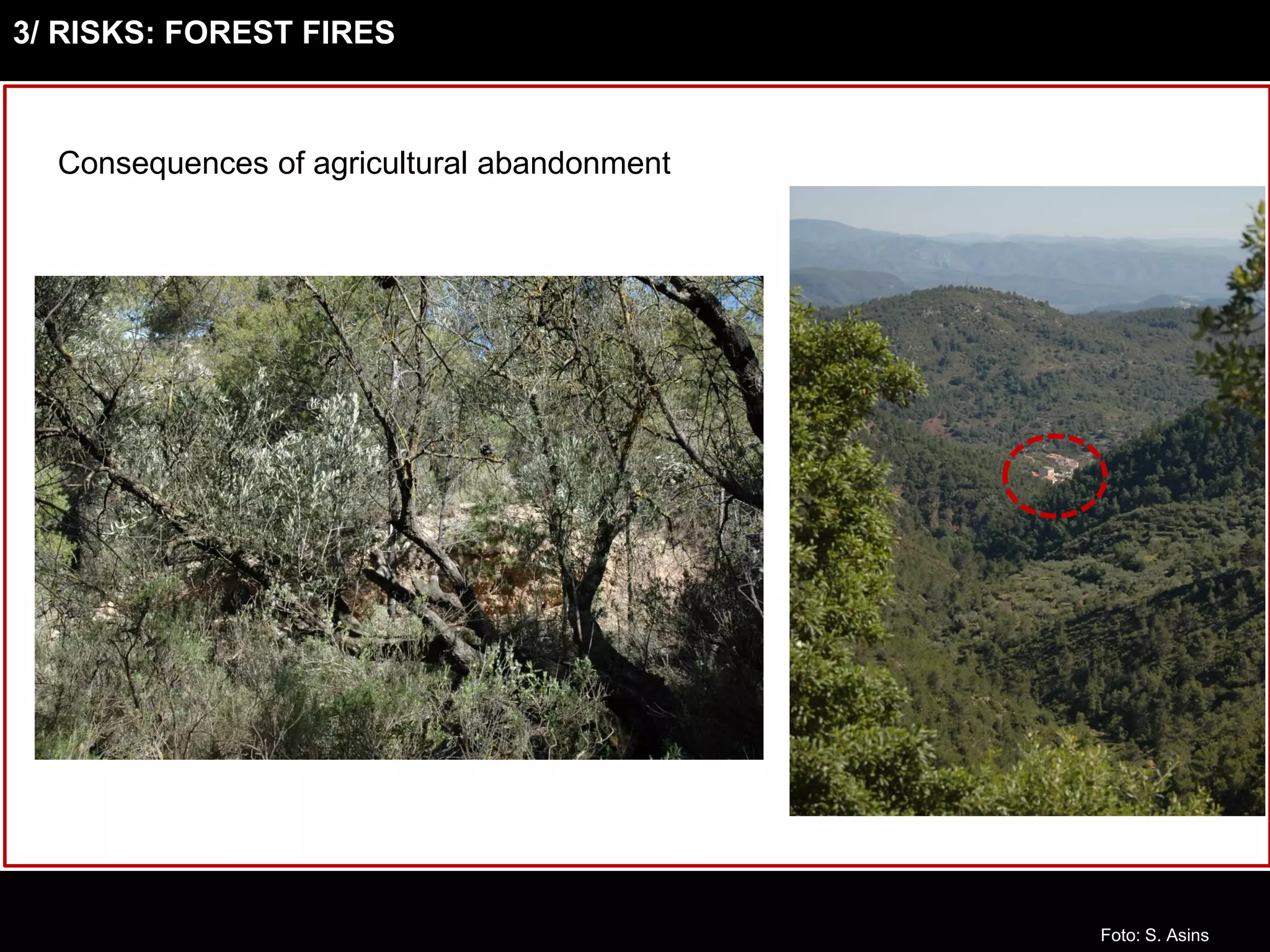 3/ RISKS: FOREST FIRES
Consequences of agricultural abandonment
Foto: S. Asins
 