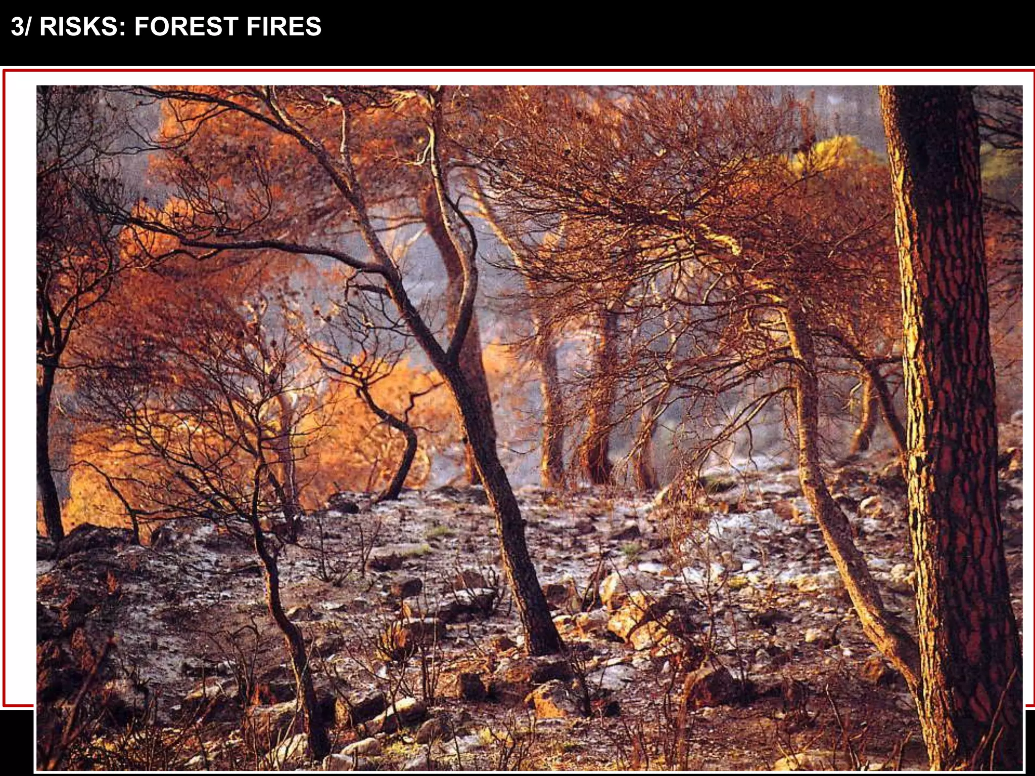 3/ RISKS: FOREST FIRES
 