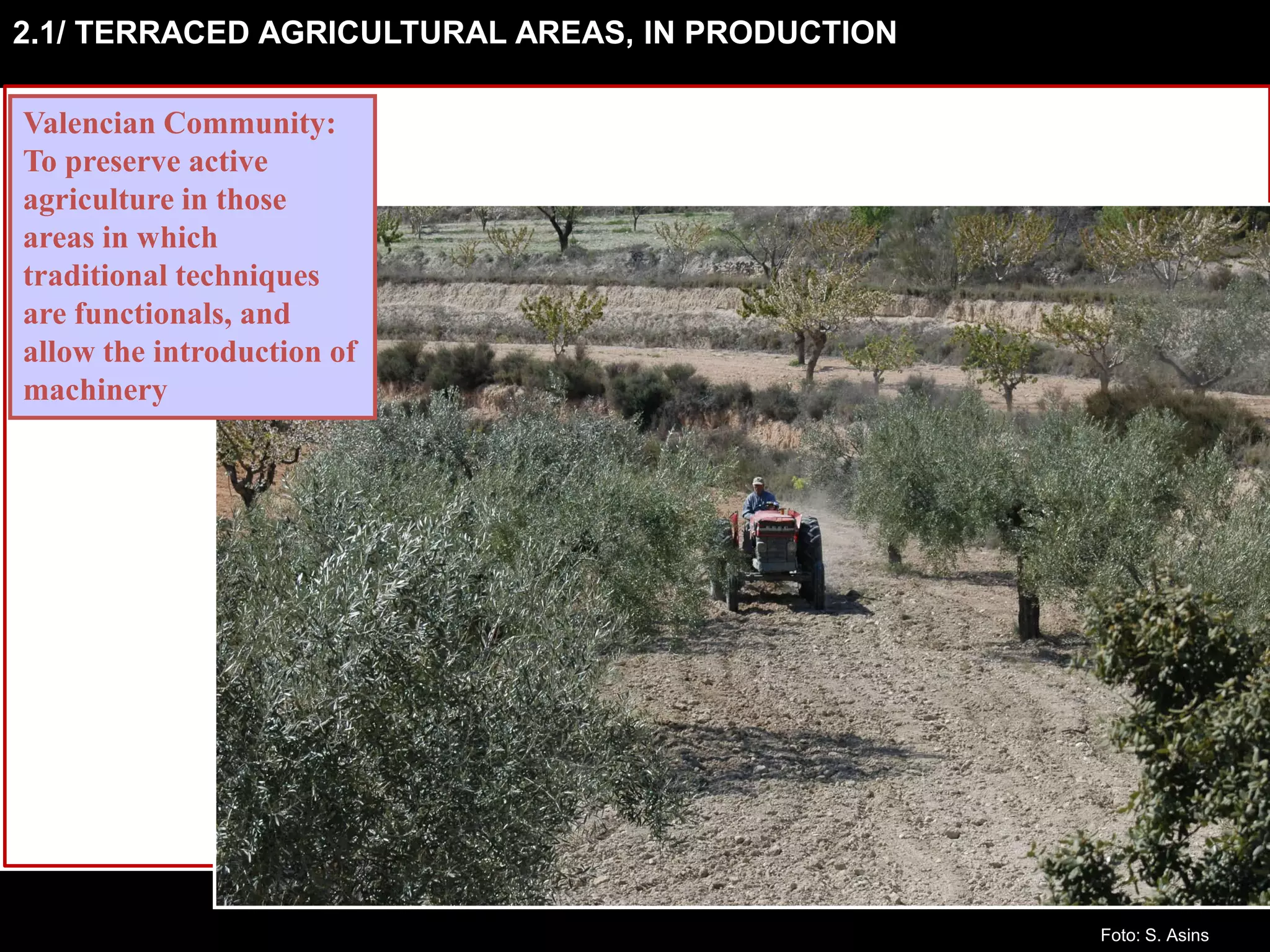 2.1/ TERRACED AGRICULTURAL AREAS, IN PRODUCTION
Valencian Community:
To preserve active
agriculture in those
areas in which
traditional techniques
are functionals, and
allow the introduction of
machinery
Foto: S. Asins
 