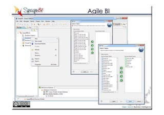 Agile BI
 