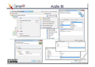 Agile BI
 