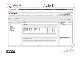 Agile BI
 