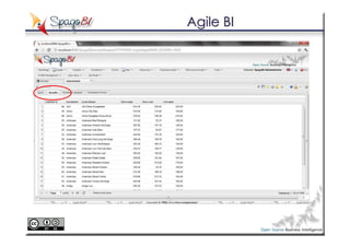 Agile BI
 
