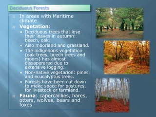 Deciduous Forests
 In areas with Maritime
climate
 Vegetation:
 Deciduous trees that lose
their leaves in autumn:
beech, oak.
 Also moorland and grassland.
 The indigenous vegetation
(oak trees, beech trees and
moors) has almost
dissaperared due to
extensive logging.
 Non-native vegetarion: pines
and ecucalyptus trees.
 Forests have been cut down
to make space for pastures,
for livestock or farmland.
 Fauna: capercaillies, hares,
otters, wolves, bears and
foxes
 