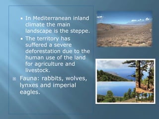  In Mediterranean inland
climate the main
landscape is the steppe.
 The territory has
suffered a severe
deforestation due to the
human use of the land
for agriculture and
livestock.
 Fauna: rabbits, wolves,
lynxes and imperial
eagles.
 