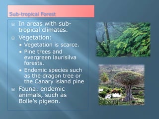 Sub-tropical Forest
 In areas with sub-
tropical climates.
 Vegetation:
 Vegetation is scarce.
 Pine trees and
evergreen laurisilva
forests.
 Endemic species such
as the dragon tree or
the Canary island pine
 Fauna: endemic
animals, such as
Bolle’s pigeon.
 