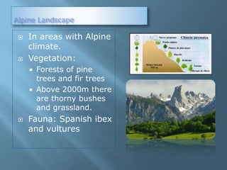 Alpine Landscape
 In areas with Alpine
climate.
 Vegetation:
 Forests of pine
trees and fir trees
 Above 2000m there
are thorny bushes
and grassland.
 Fauna: Spanish ibex
and vultures
 