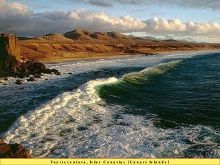 Fuerteventura, Islas Canarias (Canary Islands)