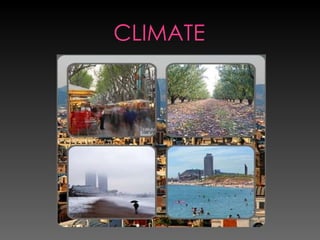 CLIMATE 