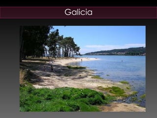 Galicia 