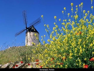 Consuegra, Toledo