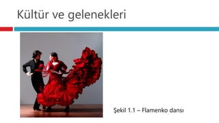 Kültür ve gelenekleri
Şekil 1.1 – Flamenko dansı
 