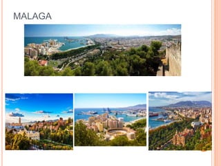 MALAGA
 