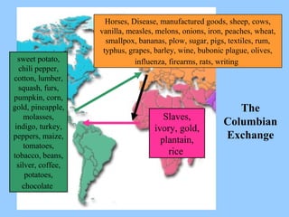 The Columbian Exchange sweet potato, chili pepper, cotton, lumber, squash, furs, pumpkin, corn, gold, pineapple, molasses, indigo, turkey, peppers, maize, tomatoes, tobacco, beans, silver, coffee, potatoes, chocolate   Horses, Disease, manufactured goods, sheep, cows, vanilla, measles, melons, onions, iron, peaches, wheat, smallpox, bananas, plow, sugar, pigs, textiles, rum, typhus, grapes, barley, wine, bubonic plague, olives, influenza, firearms, rats, writing   Slaves, ivory, gold, plantain, rice  