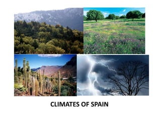 CLIMATES OF SPAIN
 