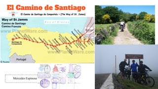 El Camino de Santiago
21
Mercedes Espinosa Contreras
 