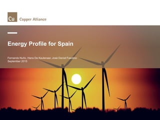 Energy Profile for Spain
Fernando Nuño, Hans De Keulenaer, José Daniel Fasolino
September 2015
 