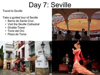 Day 7: Seville
Travel to Seville
Take a guided tour of Seville
• Barrio de Santa Cruz
• Visit the Seville Cathedral
• Giralda Tower
• Torre del Oro
• Plaza de Toros
 