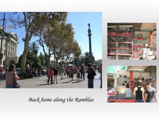 Back home along the Ramblas
 