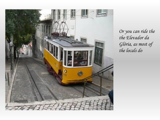 Or you can ride the
the Elevador da
Glória, as most of
the locals do
 