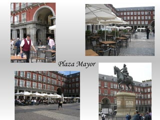 Plaza Mayor
 